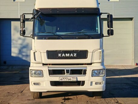 2019 КамАЗ 5490, белый, 1790000 рублей, вид 2