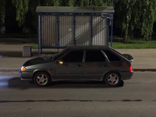 2010 Lada (ВАЗ) 2114, серый, 205000 рублей, вид 3