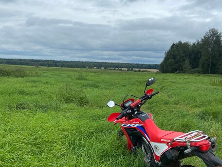 2024 Honda CRF 300L, красный, 670000 рублей, вид 4