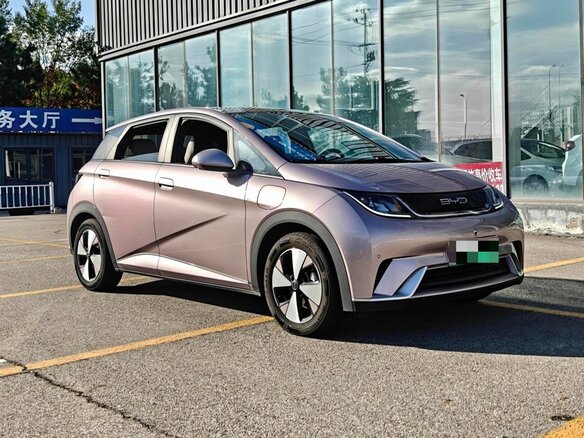 2024 BYD Dolphin 44.9 kWh I, розовый, 1240000 рублей - вид 2