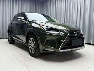 2021 Lexus NX 200 I Рестайлинг, зелёный, 3290000 рублей, вид 3