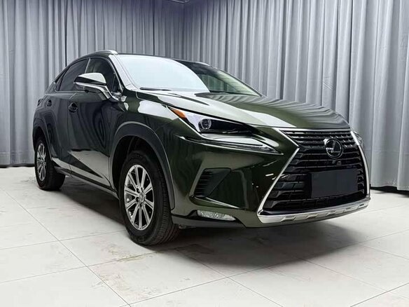 2021 Lexus NX 200 I Рестайлинг, зелёный, 3290023 рублей - вид 2