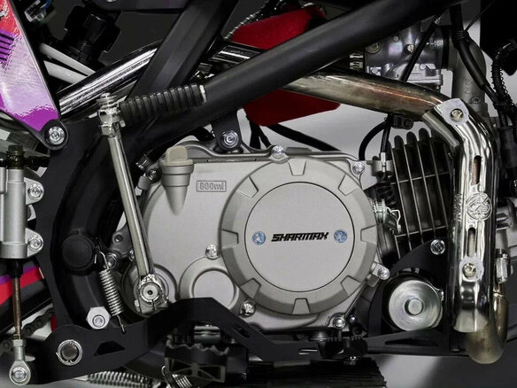 2026 Sharmax Powermax, фиолетовый, 103900 рублей - вид 6