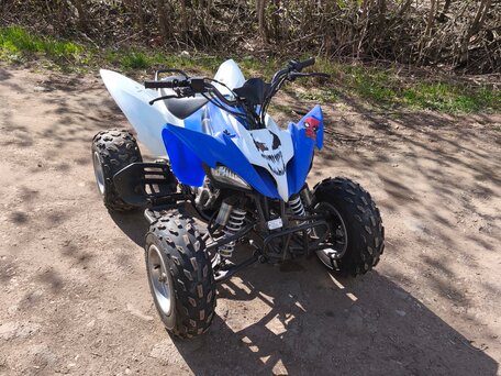 2017 Motoland ATV 250S, синий, 160000 рублей, вид 1