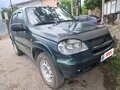 2004 Chevrolet Niva I, зелёный, 350000 рублей - вид 6