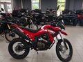 2026 Loncin DS250, красный, 258000 рублей - вид 4