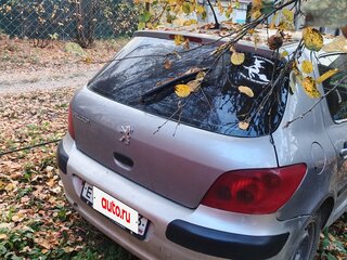 2004 Peugeot 307 I, серый, 180000 рублей, вид 4