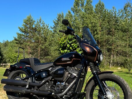 2019 Harley-Davidson Softail Custom, коричневый, 971000 рублей, вид 1