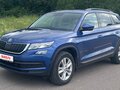 2019 Skoda Kodiaq I, синий