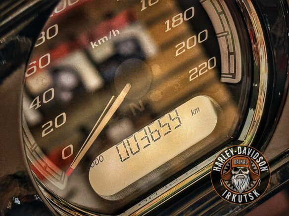 2019 Harley-Davidson Ultra Limited, коричневый, 3000000 рублей - вид 5