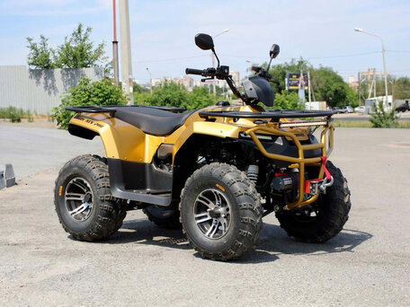 2026 Irbis ATV 200U, золотистый, 204100 рублей, вид 3