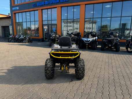 2026 Bison ATV 250F, серебристый, 161600 рублей, вид 5