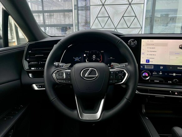 2025 Lexus RX 300 V, серый, 9158000 рублей - вид 13