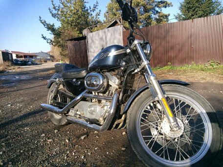 2003 Harley-Davidson Sportster 883, синий, 470000 рублей, вид 2