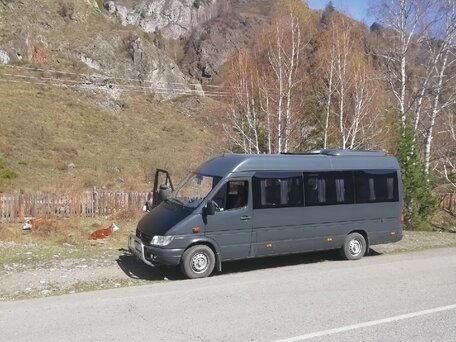 2005 Mercedes-Benz Sprinter Classic, чёрный, 1300000 рублей, вид 3