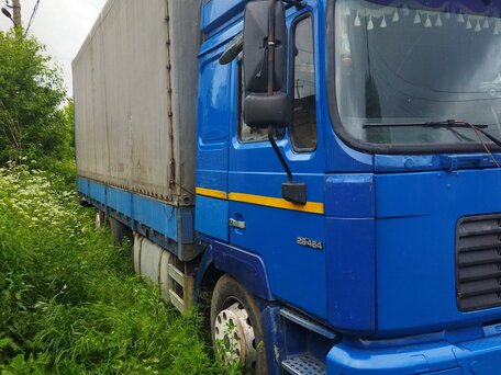 2000 MAN TGA, синий, 1650000 рублей, вид 2