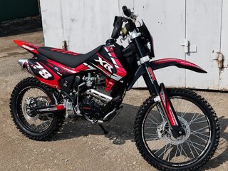 2025 Motoland XT300, красный, 110000 рублей, вид 4