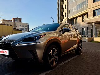 2021 Lexus NX 300 I Рестайлинг, серый, 4250000 рублей, вид 1