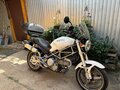 2001 Ducati Monster 400, белый, 250000 рублей - вид 9