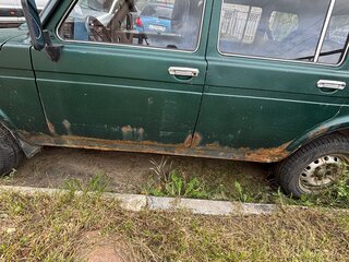 2001 Lada (ВАЗ) 2131 (4x4) I, зелёный, 200000 рублей, вид 5