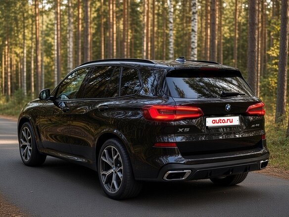 2019 BMW X5 40i IV (G05/G18), чёрный - вид 6