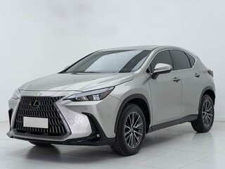 2023 Lexus NX 250 II, серебристый, 6100000 рублей, вид 1