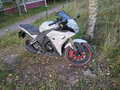 2014 S2 Motors Panther CBR250, белый, 110000 рублей - вид 5