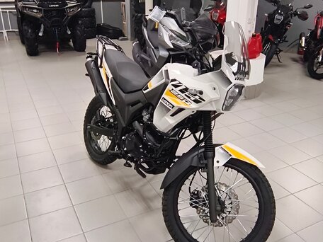 2026 Loncin MS250, белый, 179900 рублей, вид 3