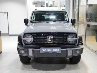2024 Tank 300 I, серый, 4738000 рублей, вид 5