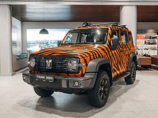 2025 Tank 300 I, оранжевый, 4499000 рублей, вид 1