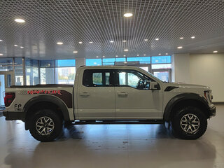 2023 Ford F-150 Raptor XIV, серый, 9620000 рублей, вид 4