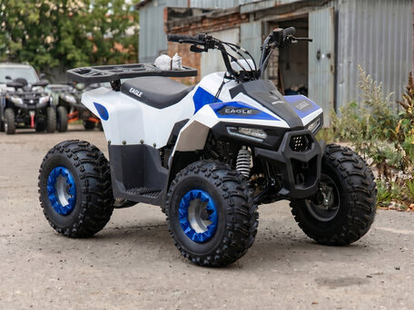 2026 Motoland ATV 110 Eagle, белый, 82100 рублей, вид 1