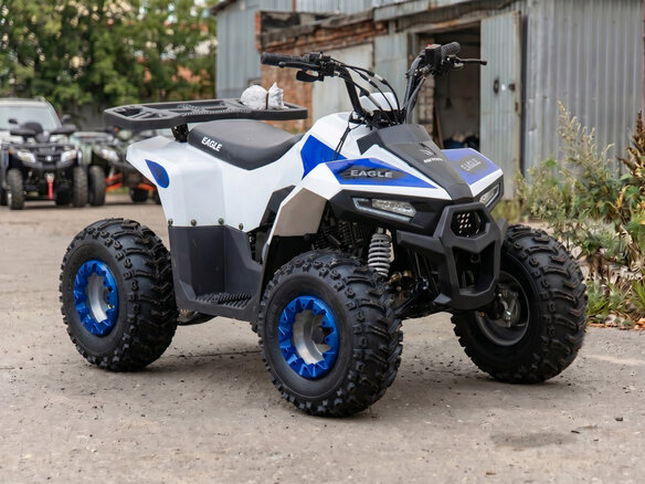 2026 Motoland ATV 110 Eagle, белый, 82100 рублей
