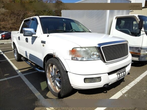 2004 Ford F-150 XI, белый, 700000 рублей - вид 38