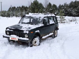 2004 Lada (ВАЗ) 2131 (4x4) I, зелёный, 210000 рублей, вид 2