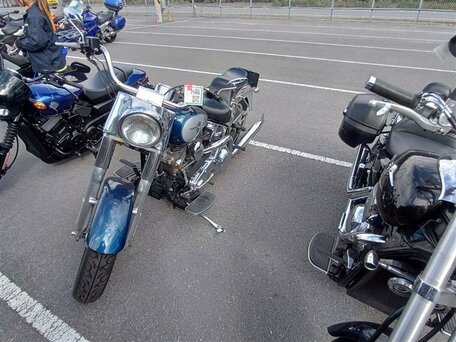 2000 Harley-Davidson Fat Boy, синий, 649000 рублей, вид 3