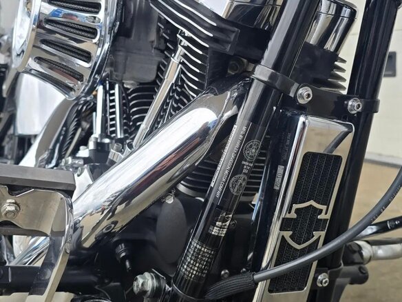 2004 Harley-Davidson Softail Deuce, белый, 990000 рублей - вид 16