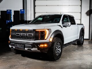 2023 Ford F-150 Raptor XIV, серый, 11850000 рублей, вид 3