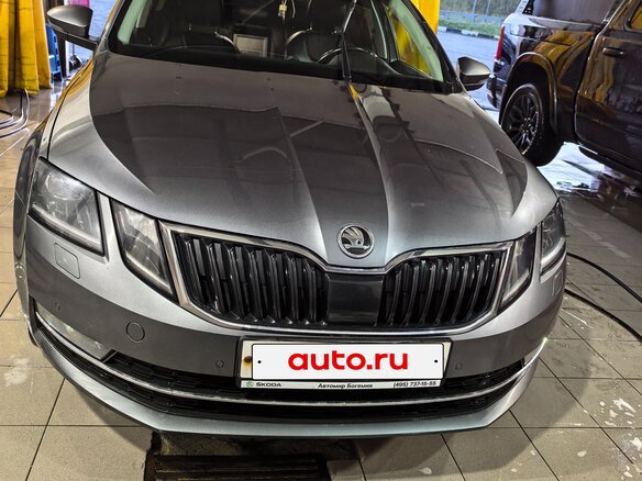 2019 Skoda Octavia III (A7) Рестайлинг, серый - вид 1