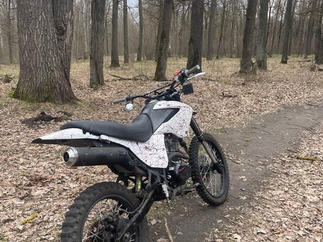 2026 Racer Panther, белый, 85000 рублей, вид 5