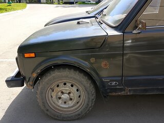 2007 Lada (ВАЗ) 2131 (4x4) I, зелёный, 190000 рублей, вид 5