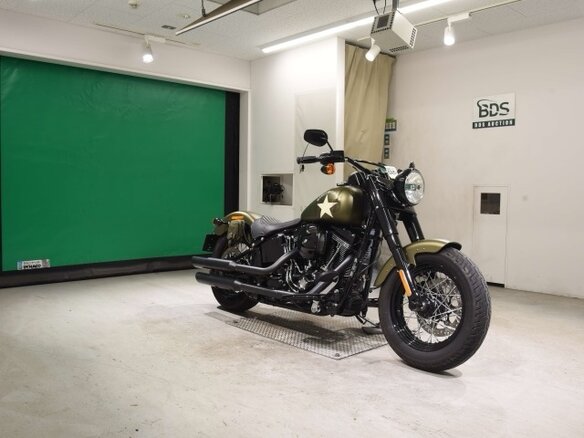 2017 Harley-Davidson Softail Slim, зелёный, 1315000 рублей - вид 2