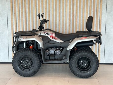 2026 Loncin XWolf 300 Max, серый, 485000 рублей, вид 4