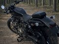 2024 Harley-Davidson Nightster, чёрный, 760000 рублей - вид 7