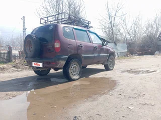2003 Chevrolet Niva I, красный, 210000 рублей, вид 4