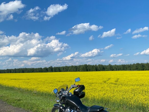 2010 Honda Shadow 750, серый, 570000 рублей - вид 8
