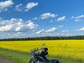 2010 Honda Shadow 750, серый, 570000 рублей - вид 8