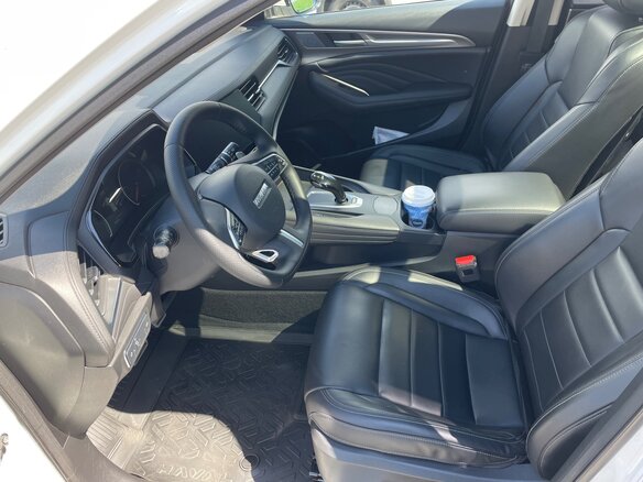 2019 Haval F7 I, белый - вид 10