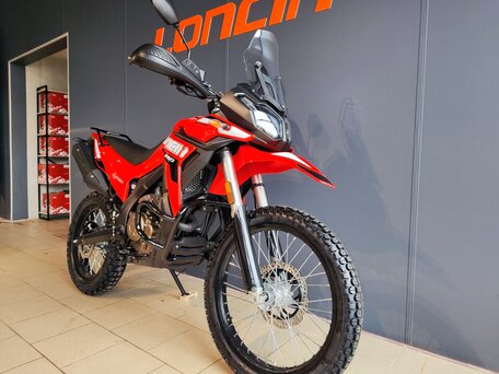 2026 Loncin DS250, красный, 258000 рублей, вид 2