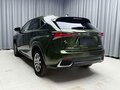 2021 Lexus NX 200 I Рестайлинг, зелёный, 3290023 рублей - вид 6